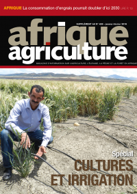 Supplément cultures et irrigation d'Afrique Agriculture 428 de janvier/février 2019
