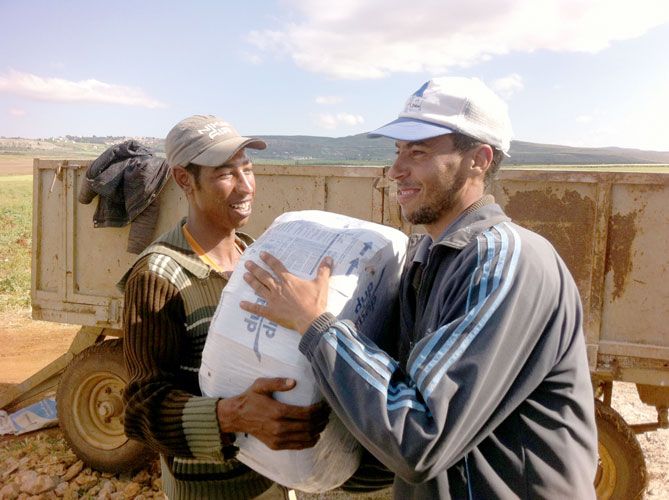 Des ouvriers marocains déploient un système d’irrigation dans la zone maraîchère d’El Hajeb. Photo A. Hervé