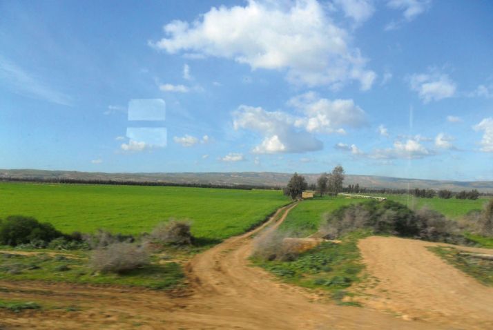 Périmètre agricole dans l’Oranais, au nord de l’Algérie. Photos : M. Naïli