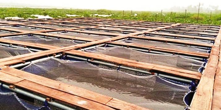L’aquaculture en cage à Badagry, au sud-ouest du Nigeria. L’aquaculture en cage à Badagry, au sud-ouest du Nigeria.