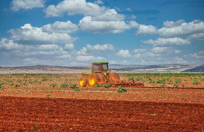 La SoNaMA déploie plus de 2200 machines, incluant des motoculteurs et des tracteurs de 112 CV, sur tout le territoire national. © Poco_bw/Adobe Stock