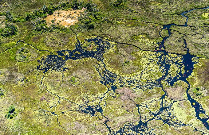 Le service de suivi des masses d'eau de Digital Earth Africa a identifié plus de 700.000 masses d'eau uniques à travers le continent. Ici une vue aérienne du delta de l'Okavango, au Botswana. Photo : Anton Ivanov Photo/Adobe Stock