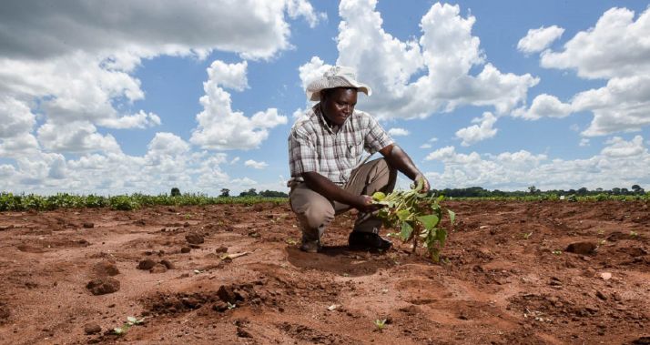 Photo : Neil Palmer (CIAT) Flickr CC