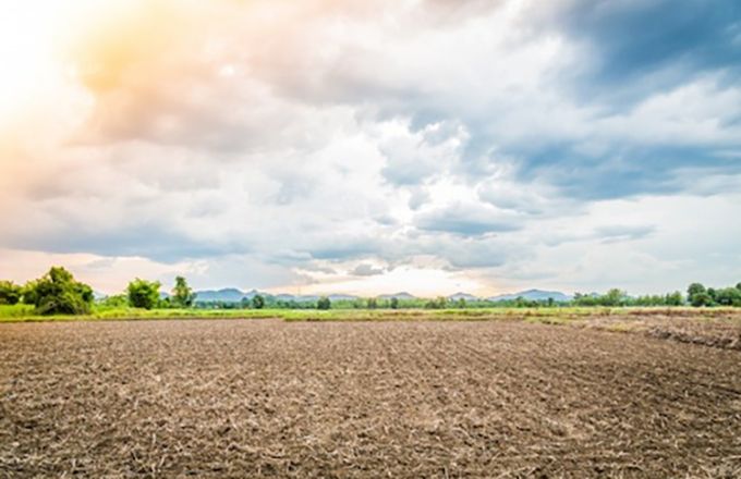 Sur les 3,4 millions d’hectares de terres agricoles que compte le Togo, seulement 45 % du total sont valorisés. Photo : ministère de l’Agriculture du Togo