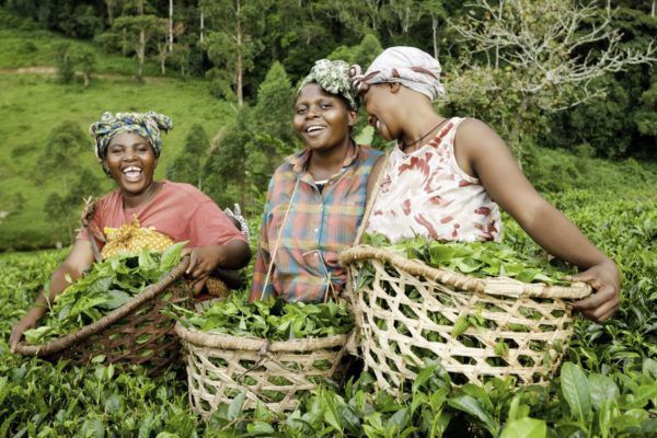 African Women in Agriculture (AWA)