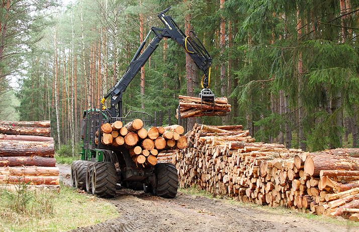 Gabon wood show Gabon wood show