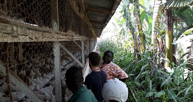 Élevage avicole au Cameroun. Ici, le docteur Jean Marcel Mandeng en visite technique avec des clients et Florian Allègre, responsable commercial Hubbard (photo datant de 2019 et prise avant la crise sanitaire due à la Covid-19). Photo : Hubbard.