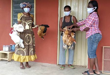 L’élevage par temps de coronavirus… Photo : Kiki Tassi