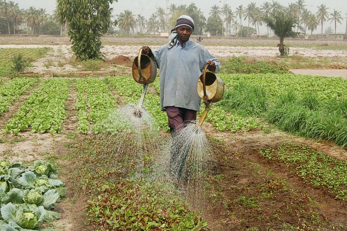 rep_0728.jpg  Afrique Agriculture