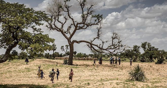 En premières lignes du changement climatique, les terres africaines doivent être particulièrement protégées. Photo : Luis Tato / FAO