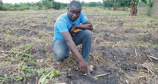 Le changement climatique affecte le travail des sols  en Afrique, comme ici au nord de Lomé au Togo. Photo : Antoine Hervé