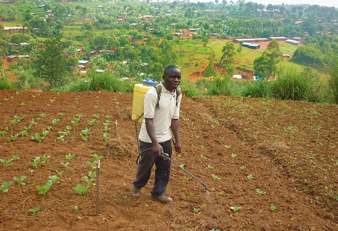 veg_fermier_congo_pulverisation.jpg