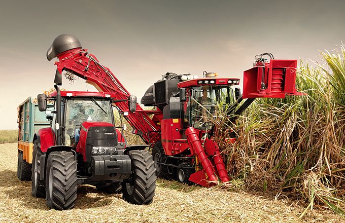 La récolteuse de cannes Austoft au travail. Photo : case IH La récolteuse de cannes Austoft au travail. Photo : case IH