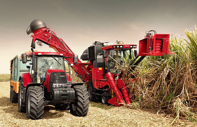 La récolteuse de cannes Austoft au travail. Photo : case IH