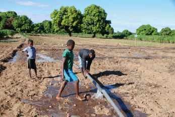 Un périmètre irrigué au sud de Madagascar. Un périmètre irrigué au sud de Madagascar.