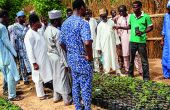 Un vulgarisateur agricole enseigne son savoir à des paysans à Sokoto dans le nord  du Nigeria. Photos : Daouda Aliyou