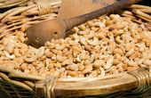 Pour l'année 2024, les perspectives sont optimistes avec une production prévue de 1.250.000 tonnes de noix brutes. Olivier-Tuffé/Adobe Stock