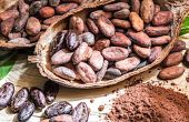 Fèves de cacao du Togo. Photo : Officiel Togo