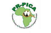 PR-PICA: la filière coton se réunit à Cotonou