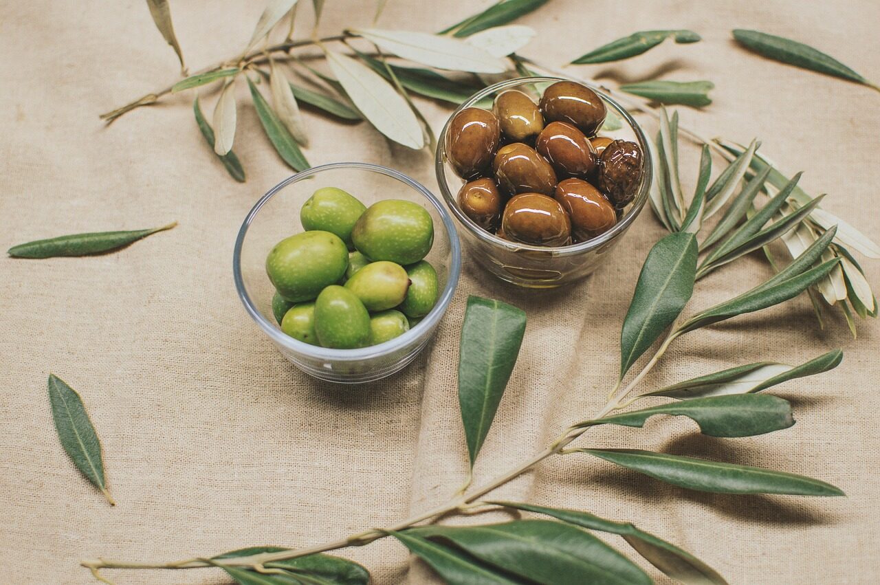 Révolutionner la récolte d’olives grâce à la Braud 9090X Olive